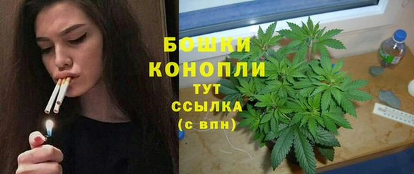 прущие грибы Баксан