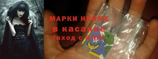прущие грибы Баксан