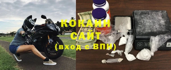 индика Армянск