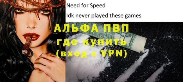СК Касимов